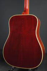 Gibson Hummingbird Custom_5