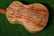 Big Island KX-CTG DELUXE Concert_2