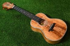 Big Island KX-CTG DELUXE Concert_3