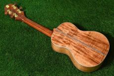 Big Island KX-CTG DELUXE Concert_4
