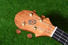 Big Island KX-CTG DELUXE Concert_5