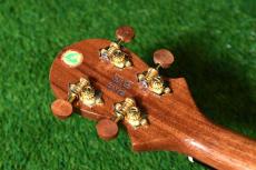 Big Island KX-CTG DELUXE Concert_6