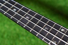 Big Island KX-CTG DELUXE Concert_7