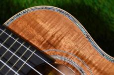 Big Island KX-CTG DELUXE Concert_9