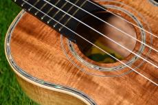 Big Island KX-CTG DELUXE Concert_10