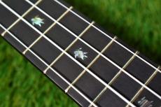 Big Island KX-CTG DELUXE Concert_15