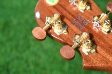 Big Island KX-CTG DELUXE Concert_16