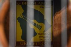 Big Island KX-CTG DELUXE Concert_17