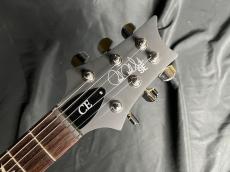 Paul Reed Smith [PRS] SE CE24 Standard Satin Metallic Silver 2024年新カラー_7