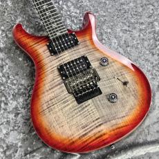Paul Reed Smith [PRS] SE Custom 24 " Floyd"【4Fメタルギターフロア取り扱い商品】