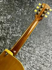 Greco 【特選中古セール】ClearSoundProject  FA-80  -Natural- 【1990'sUSED】_8