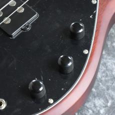 Sterling by MUSIC MAN Stingray  " Ray5 " - Walnut Satin -_4