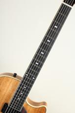 Kikuchi Guitars MF15S Blackwood_4