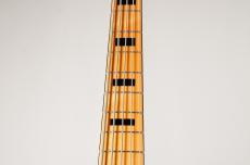 Sire V7 Alder-5 -Tide Pool- [4.59kg]_5