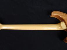 Paul Reed Smith [PRS] SE Custom 24 Blue Matteo (Natural Back) 2025_8