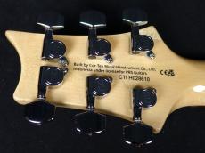 Paul Reed Smith [PRS] SE Custom 24 Blue Matteo (Natural Back) 2025_9