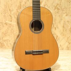 Martin CTM Classic Western Red Cedar Rosewood