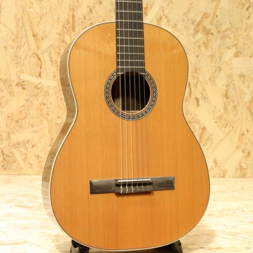 Martin CTM Classic Western Red Cedar Rosewood