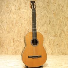 Martin CTM Classic Western Red Cedar Rosewood_3