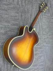 Epiphone FT-210 Deluxe Cutaway SB_2