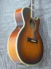 Epiphone FT-210 Deluxe Cutaway SB_5
