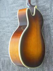 Epiphone FT-210 Deluxe Cutaway SB_6