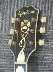 Epiphone FT-210 Deluxe Cutaway SB_7