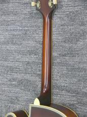 Epiphone FT-210 Deluxe Cutaway SB_10