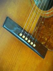 Epiphone FT-210 Deluxe Cutaway SB_13