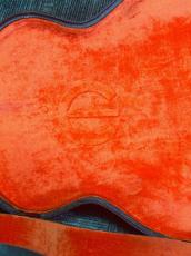 Epiphone FT-210 Deluxe Cutaway SB_15