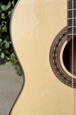 Aiersi Guitar SC02SSA-J【ラティス|アームレスト|松&サントス】好評につき追加しました!_3