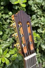 Aiersi Guitar SC02SSA-J【ラティス|アームレスト|松&サントス】好評につき追加しました!_7