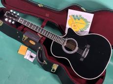 Martin CUSTOM GPC STYLE41 SUGIZO 