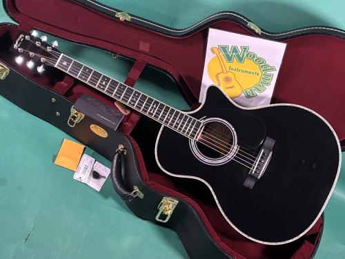 Martin CUSTOM GPC STYLE41 SUGIZO 