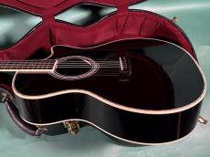 Martin CUSTOM GPC STYLE41 SUGIZO _4