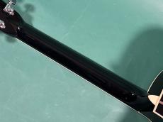 Martin CUSTOM GPC STYLE41 SUGIZO _8