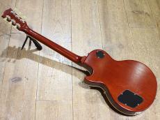 Tokai LS-GP/P-90W C/GT/DB_3