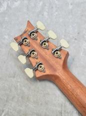 Paul Reed Smith [PRS] S2 Special Semi-Hollow Reclaimed Limited NA - Nautural -【2025年製】【S2 085369】【3.30kg】_8