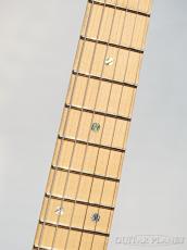 James Tyler Studio Elite HD-P -Psychedelic Vomit- 2014USED!! Made In USA!_9