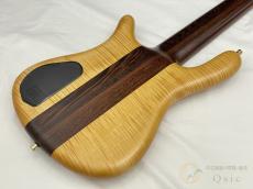 Warwick Custom Shop Streamer Stage I 5st 【返品OK】[VLO01]【梅田店在庫】_4