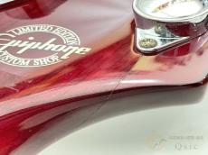 Epiphone Les Paul Special 【返品OK】[VLN80]【梅田店在庫】_10