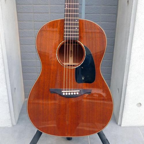 HISTORY NT-LGM　オールマホガニー　限定モデル