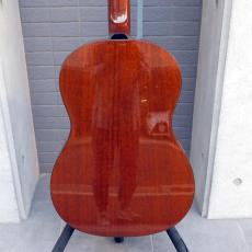 HISTORY NT-LGM　オールマホガニー　限定モデル_6