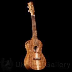 Lotus Acoustics Concert Custom - Premium Curly Koa -_2