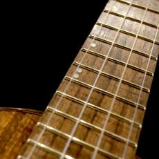 Lotus Acoustics Concert Custom - Premium Curly Koa -_11