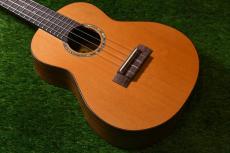 aNueNue aNN-C4 Concert #3