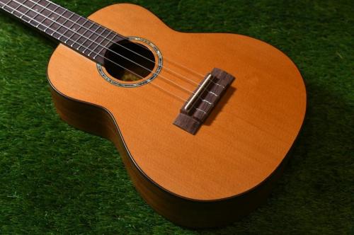 aNueNue aNN-C4 Concert #3