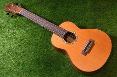 aNueNue aNN-C4 Concert #3_2