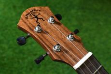 aNueNue aNN-C4 Concert #3_5