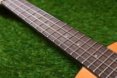 aNueNue aNN-C4 Concert #3_7